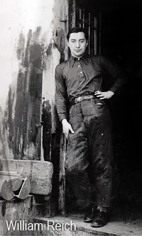 William (Willie) Reich