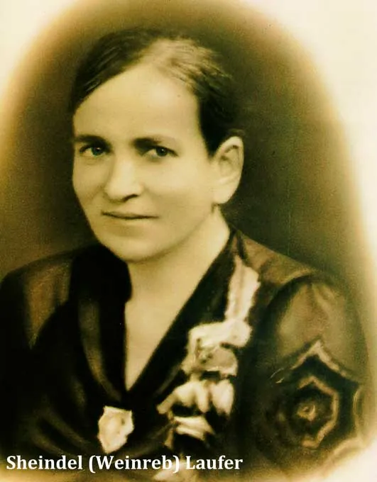 Sheindel Weinrib
